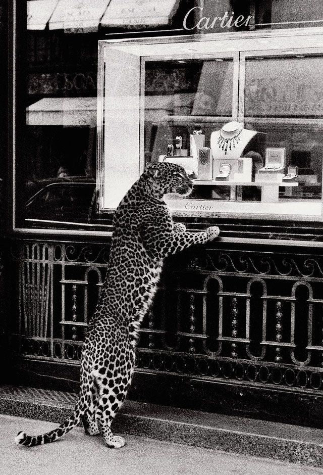 Cartier